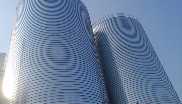 长寿2座混凝土高架卷板仓